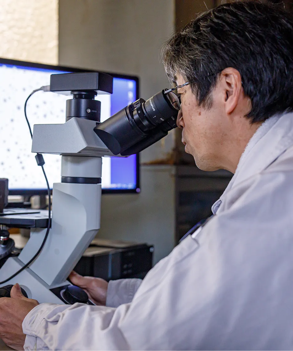 機械的性質試験